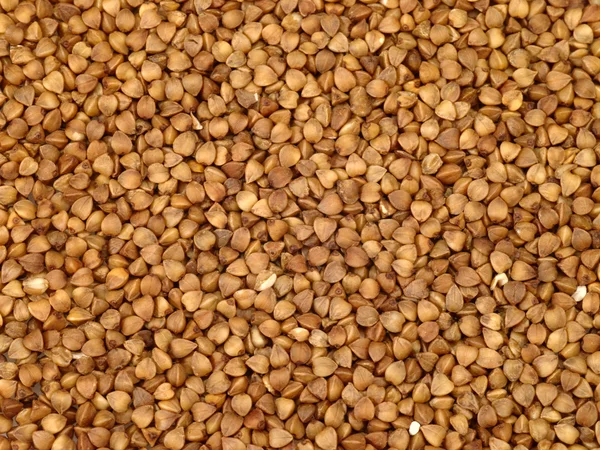Granos de trigo sarraceno como fondo —  Fotos de Stock
