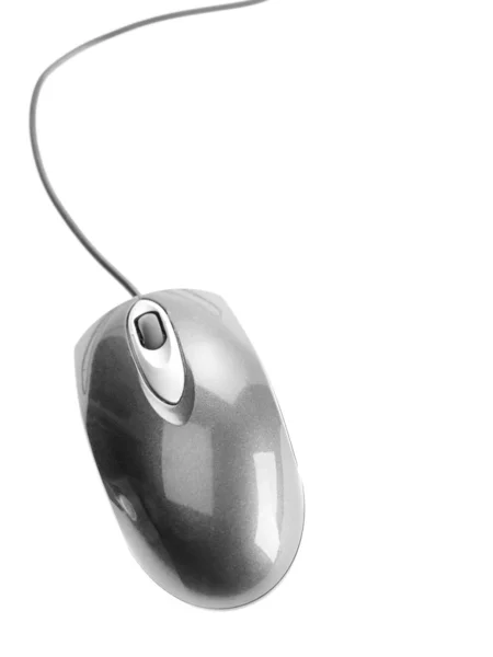 Datorn wire laser mouse — Stockfoto