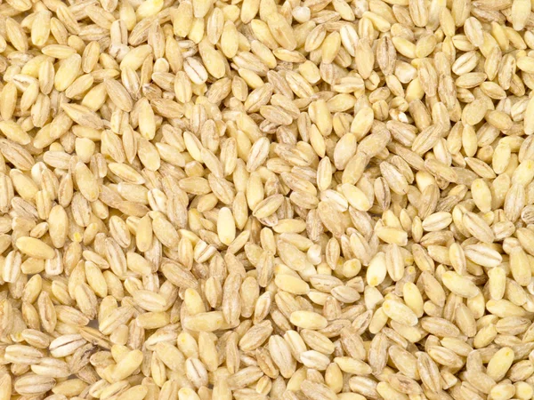 Pearl-barley as background — Stock Photo, Image