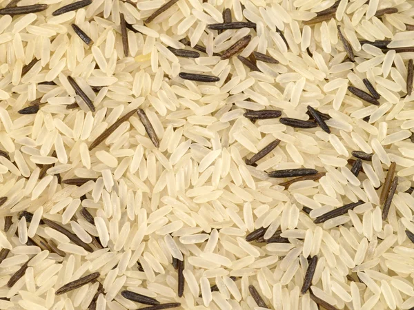 Wilde rijst met gestoomde rijst — Stockfoto
