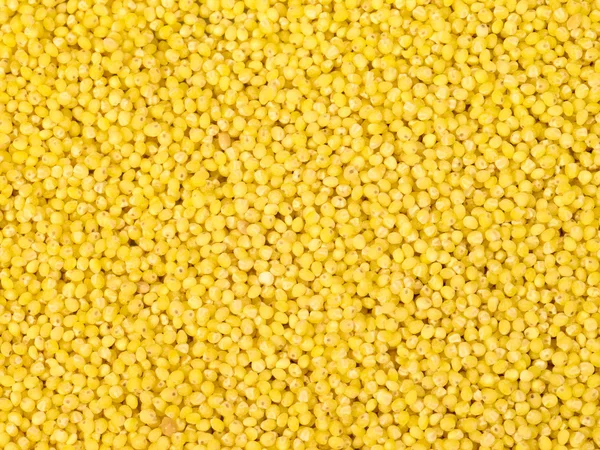 Millet grains as background — Stock Photo, Image