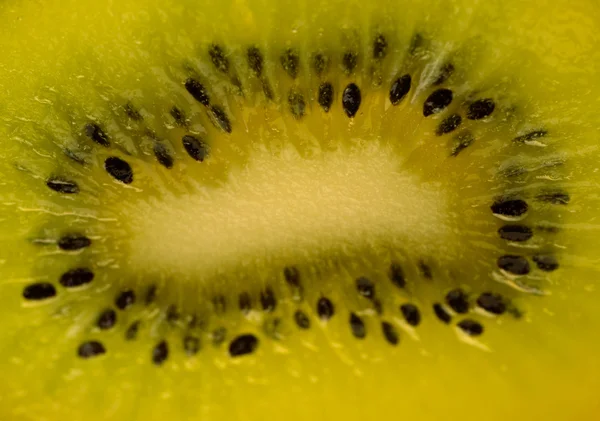Plody kiwi na bílém pozadí — Stock fotografie