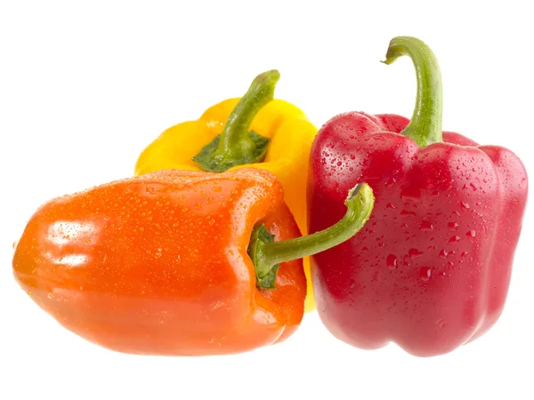 Peppers with water drops — Stock Photo, Image