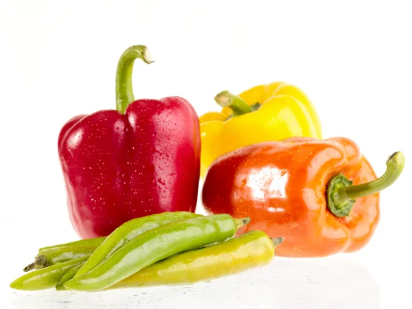 Wet peppers on white wet background — Stock Photo, Image