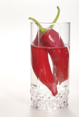 Russian Vodka with red hot chilly pepper clipart