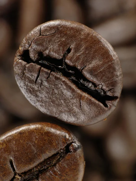 Kaffe bean i djupa skuggor över unfocus — Stockfoto