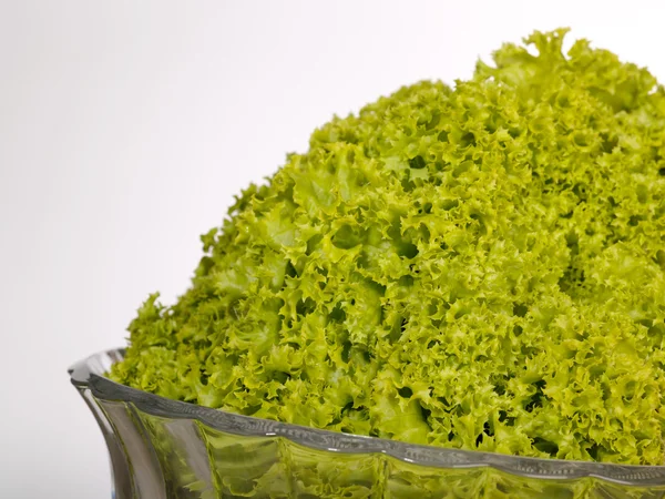 Fresh raw lettuce with water drops in sa — Stock Photo, Image