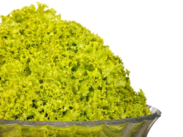 Friss, nyers salátát vízzel csepp sa — Stock Fotó
