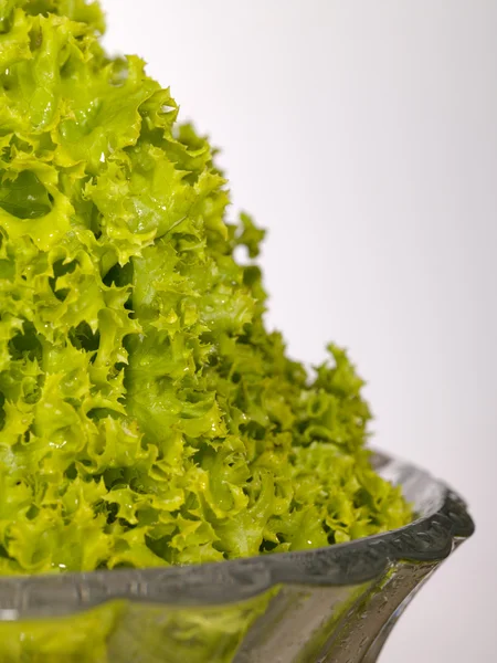 Fresh raw lettuce with water drops in sa — Zdjęcie stockowe