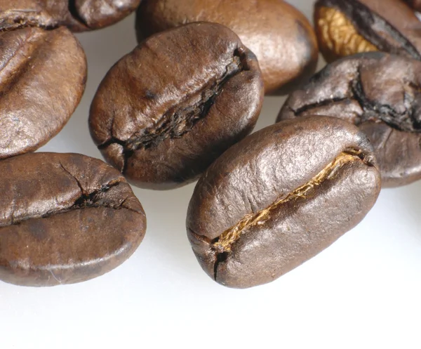 Kaffebönor närbild foto. inte isolerade — Stockfoto