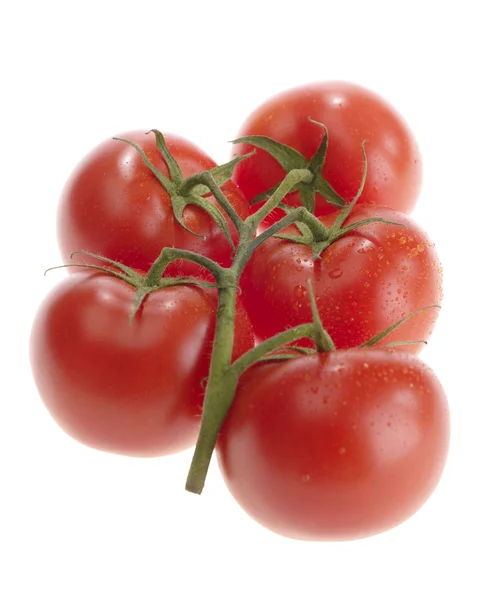 Frische leckere Tomaten auf weißem Hintergrund — Stockfoto