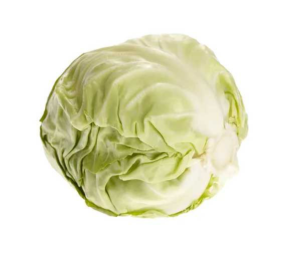 Fresh tasty cabbage on white background. — Stock Photo, Image