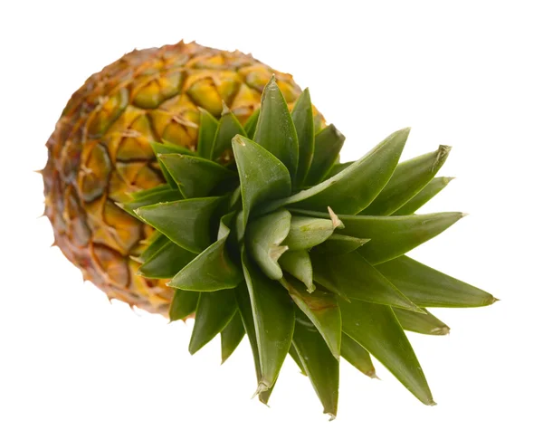 A fehér hátterű clipp ananász — Stock Fotó