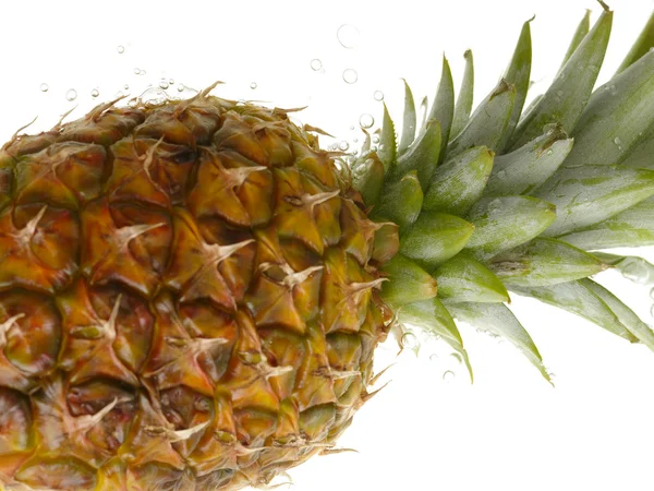 Ananas med vattenstänk på vit — Stockfoto
