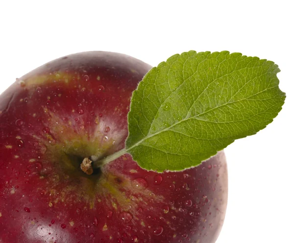 Fresh tasty apple on white background wi — Stock Photo, Image