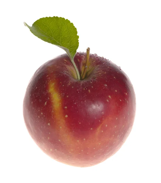 Свежее вкусное яблоко на белом фоне wi — стоковое фото