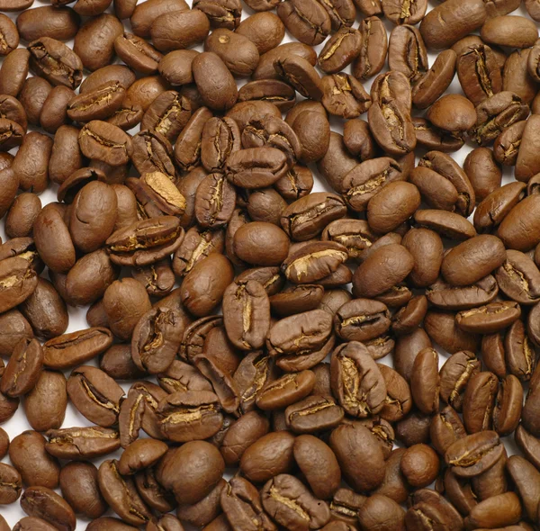 Kaffebönor på vit — Stockfoto
