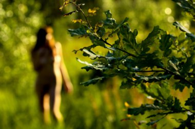 Akçaağaç yaprakları