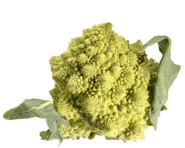 Frash cabbage on white. clipart