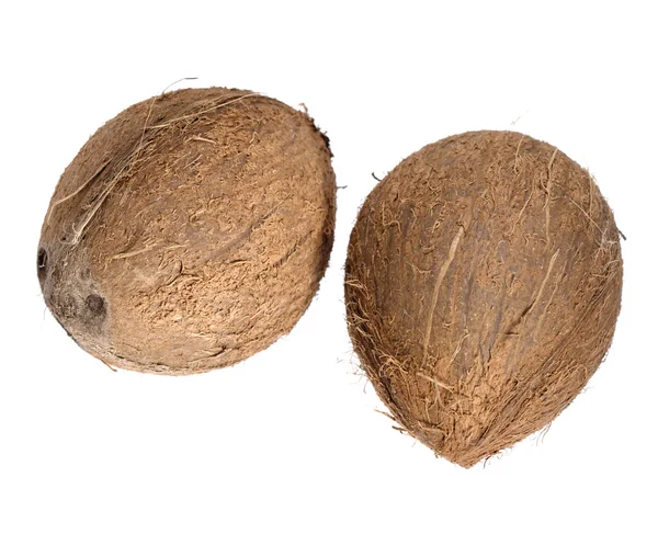 Deux noix de coco tropicales sur blanc — Photo