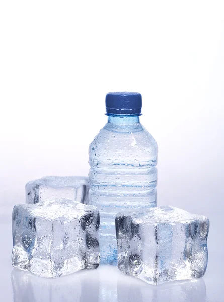 氷とボトルの湧水 — ストック写真