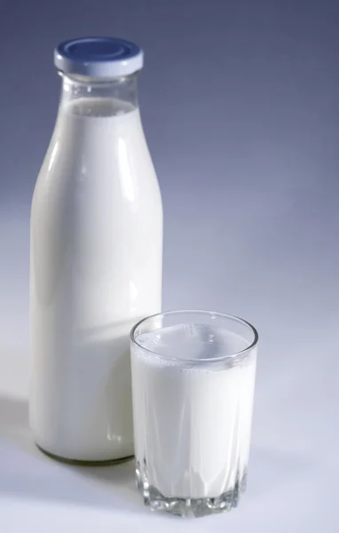 Молочный натюрморт — стоковое фото