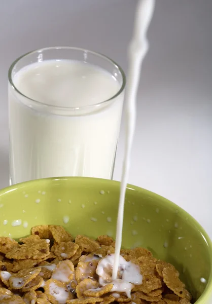 Copos de maíz con leche blanca —  Fotos de Stock