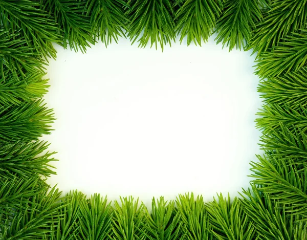 Frisches Grün — Stockfoto