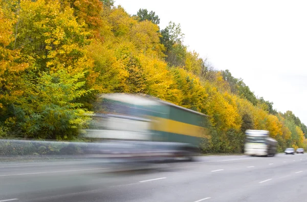 stock image Autumn