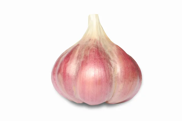 stock image Garlic