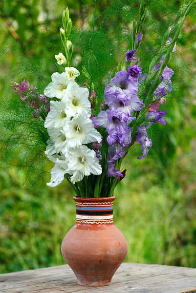 stock image Gladiolus in vase