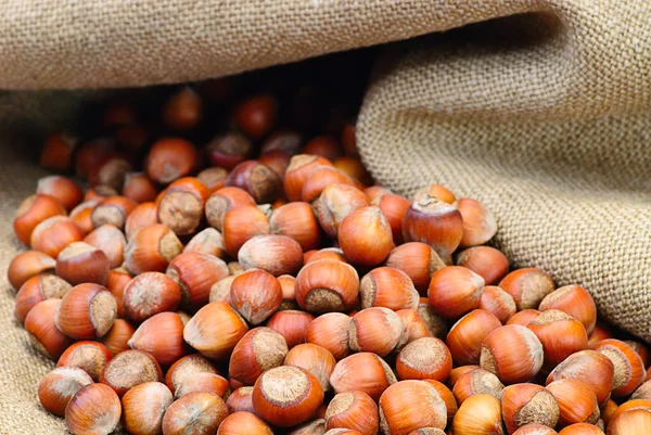 Pile of mixed nuts on hessian sacking — Stock Photo, Image