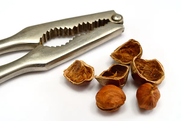 Hazelnut cracked open with nut cracker — Stock Photo, Image