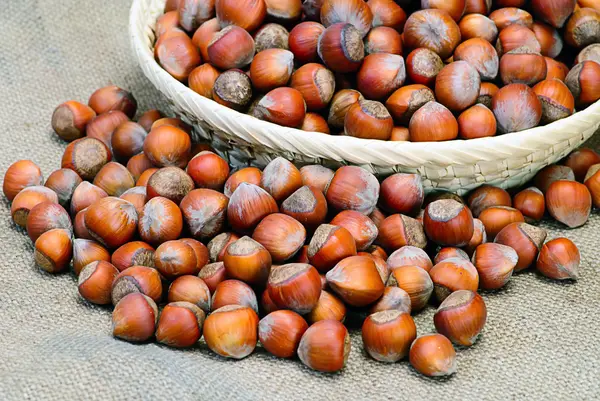Pile of mixed hazelnuts — Stock Photo, Image