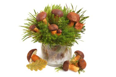 chestnuts in a glass cup  clipart