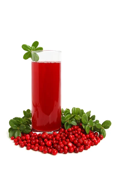 Glass Fresh Juice Ripe Cranberry — Stock Photo, Image