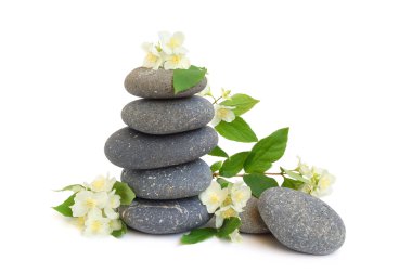 Spa stones and jasmine clipart