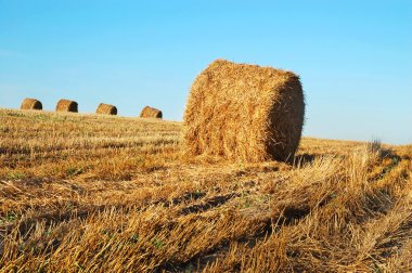 Hay bales clipart