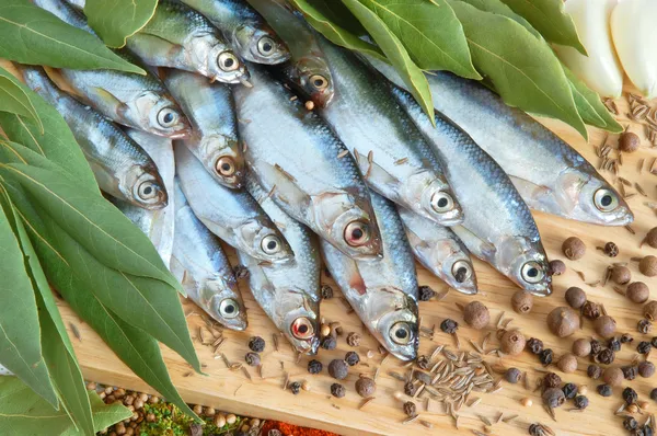 Fish with fresh bay leaves — Stock Photo, Image