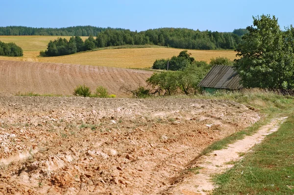 Einde zomer landbouw — Stockfoto