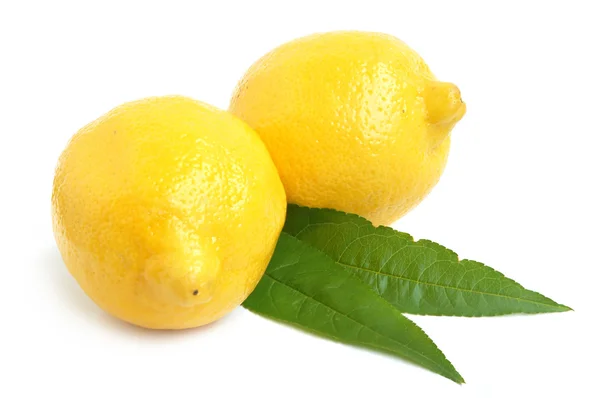 Citron agrumes — Photo