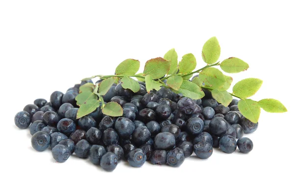 Bilberries — Stock Photo, Image