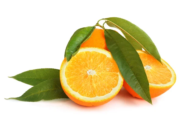 Orange citrus — Stockfoto