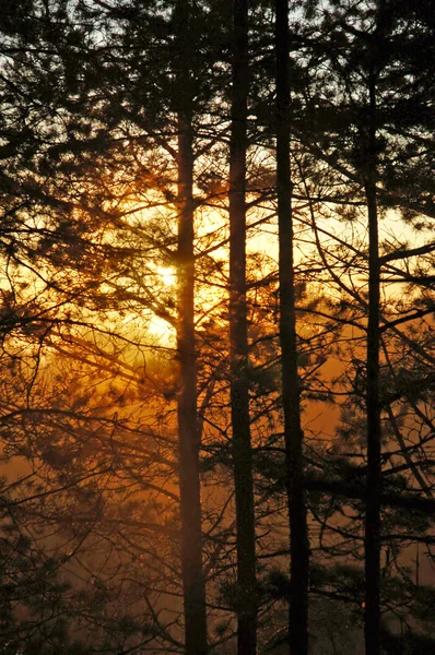 Piękny wschód słońca — Zdjęcie stockowe