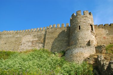 Medieval castle clipart