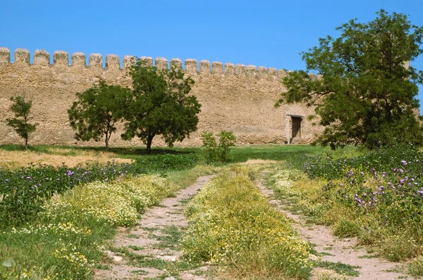 Ortaçağ Kalesi — Stok fotoğraf