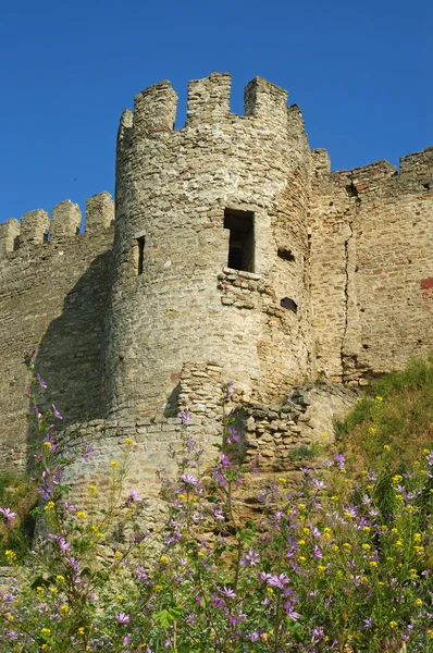 Mittelalterliche Burg — Stockfoto