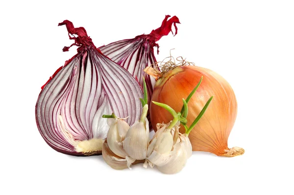 Bulbi di aglio e cipolla rossa — Foto Stock