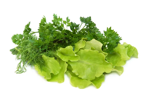 Čerstvé chutné zelení — Stock fotografie