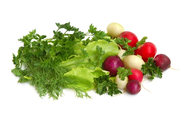 stock image Fresh tasty greens and radish